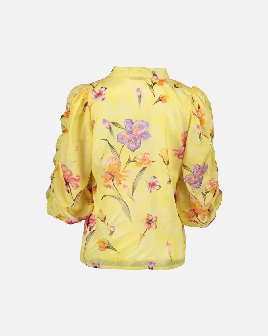 DONNIE ORCHID