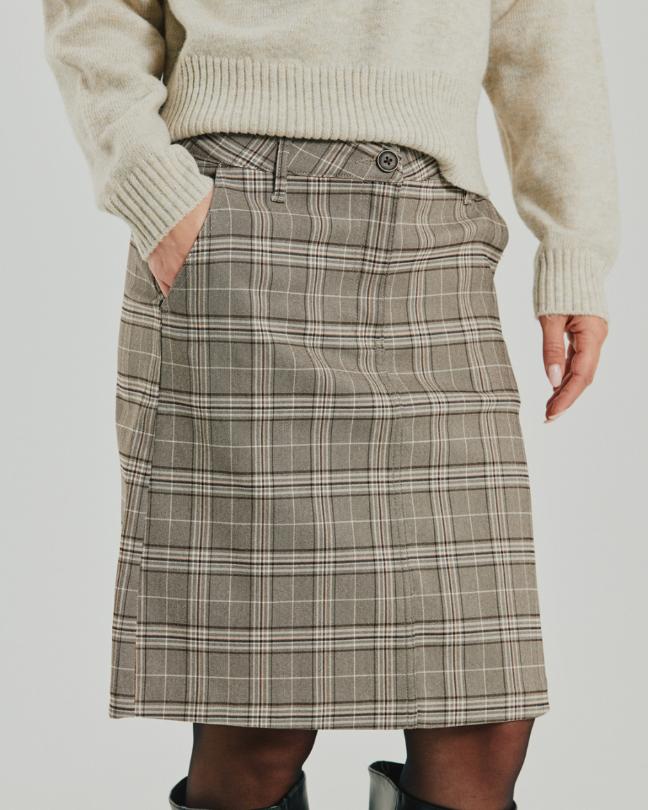 REXO-SKIRT